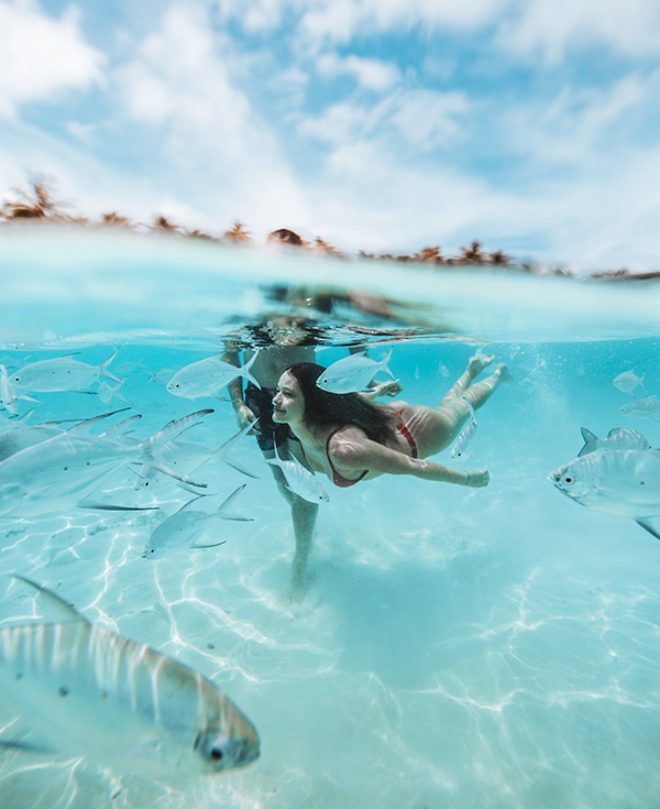 shifaaz shamoon O0xQcGATOw4 unsplash
